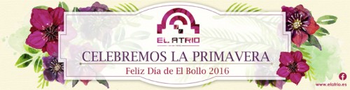 EL-BOLLO-16-500x129